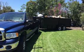 Shed Removal